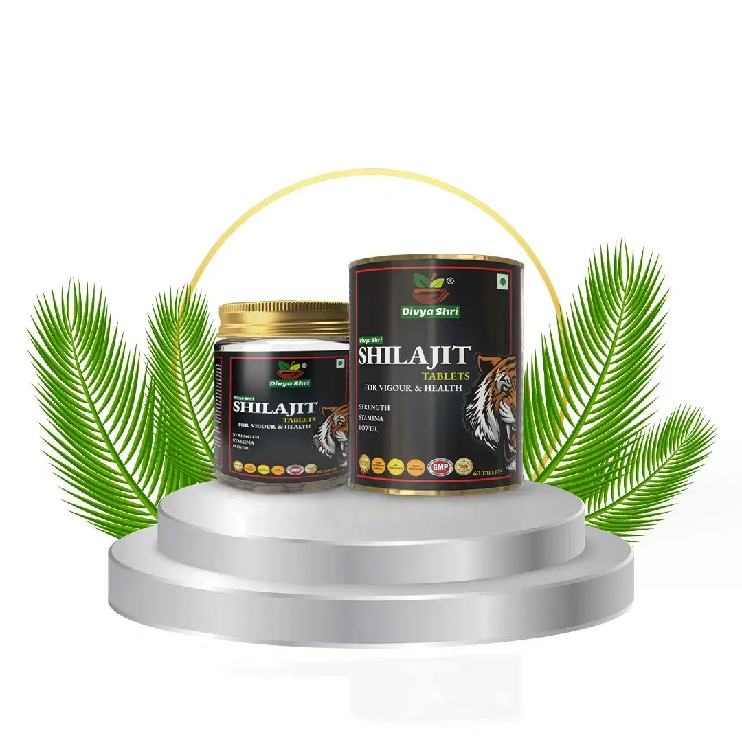 Divya Shri Shilajit Tablets for Strength, Stamina & Energy Support – 60 Tablets - Image 1